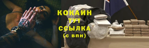 соль курить ск Бородино