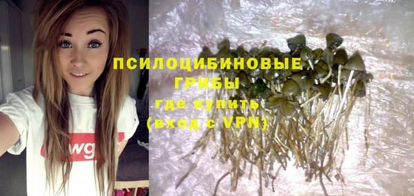 соль курить ск Бородино